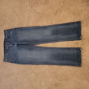 Banana Republic Premium Denim